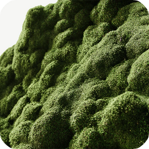 MossElixir™ <br>ekstrakt